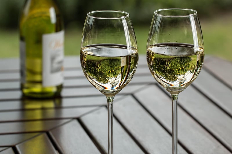 Wine Pairing Guide